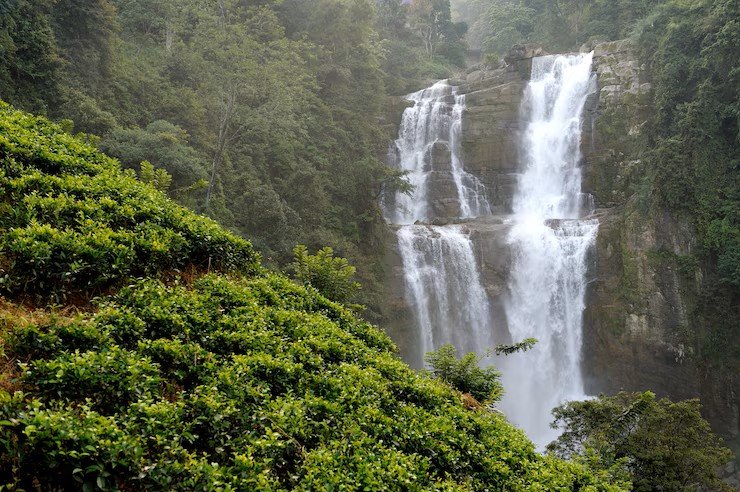Waterfall View